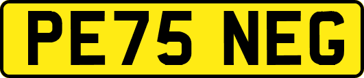 PE75NEG