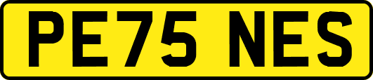 PE75NES