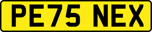 PE75NEX