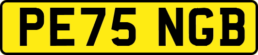 PE75NGB