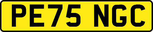 PE75NGC