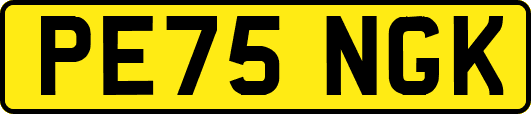 PE75NGK