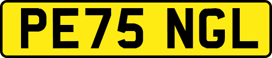 PE75NGL