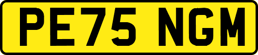 PE75NGM