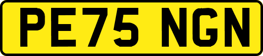 PE75NGN