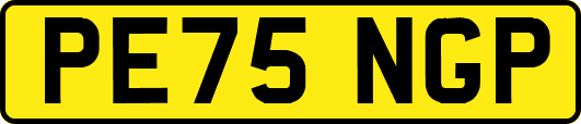 PE75NGP