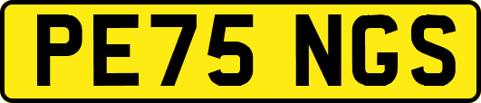 PE75NGS