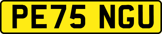 PE75NGU
