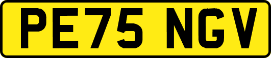 PE75NGV
