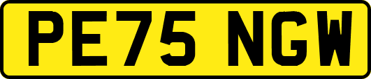 PE75NGW