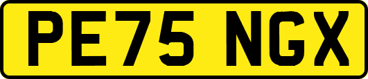 PE75NGX