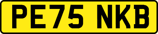 PE75NKB