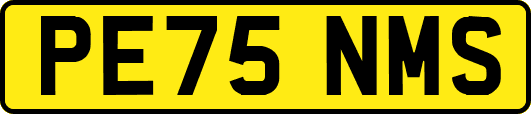 PE75NMS