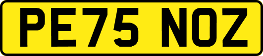 PE75NOZ