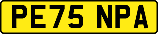 PE75NPA