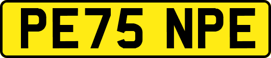 PE75NPE