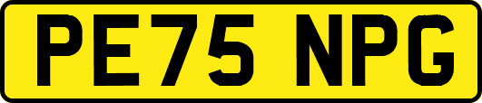 PE75NPG