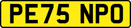 PE75NPO