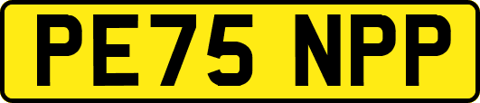 PE75NPP
