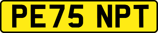 PE75NPT