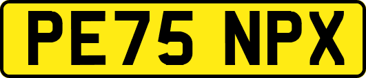 PE75NPX