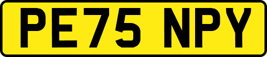 PE75NPY