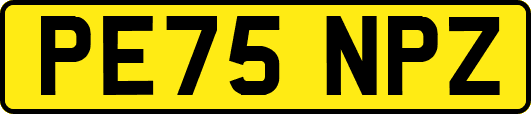 PE75NPZ
