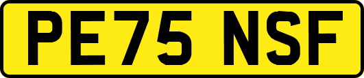 PE75NSF