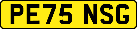 PE75NSG