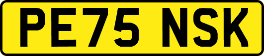 PE75NSK