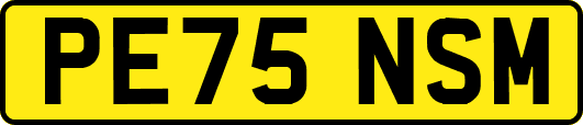 PE75NSM