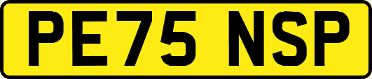 PE75NSP