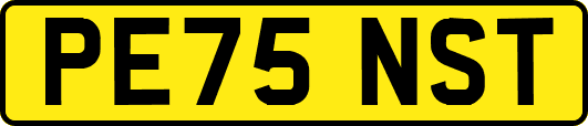 PE75NST