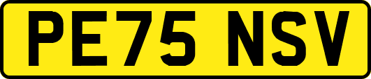 PE75NSV