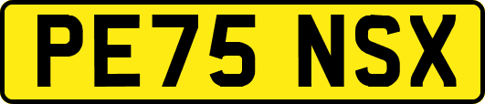 PE75NSX