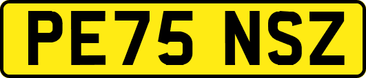 PE75NSZ