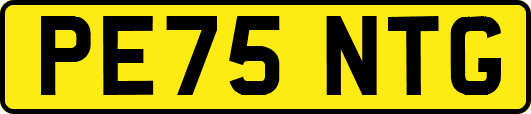 PE75NTG