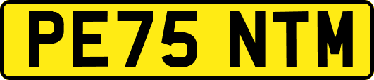 PE75NTM