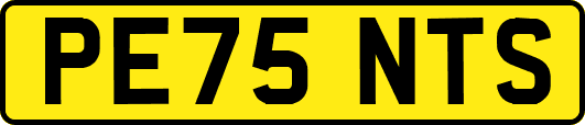 PE75NTS