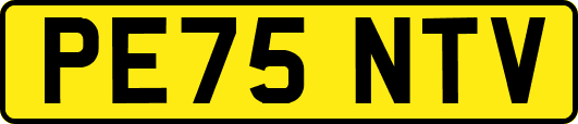 PE75NTV