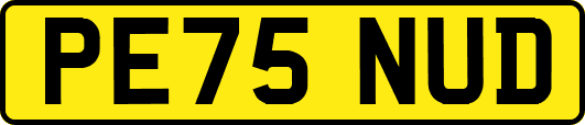 PE75NUD