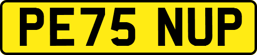 PE75NUP