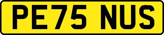 PE75NUS