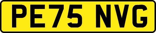 PE75NVG
