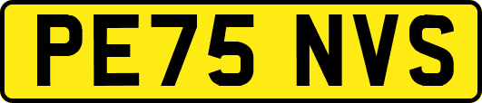 PE75NVS
