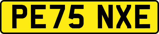 PE75NXE