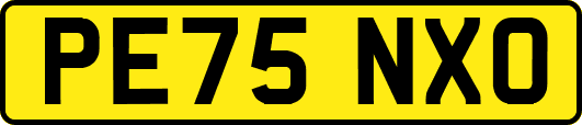 PE75NXO