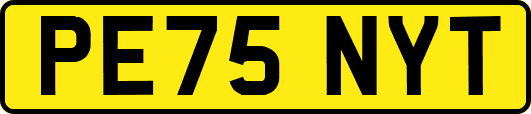 PE75NYT