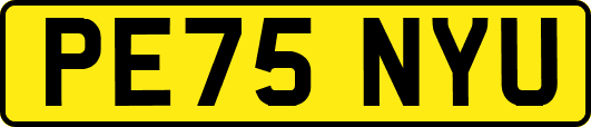 PE75NYU
