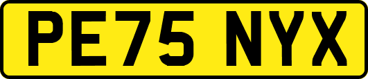 PE75NYX